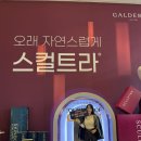 하영코리아 | 갈더마 마에솔콘서트 레스틸렌 스컬트라 프리미엄 스킨부스터와 필러의 모든 것