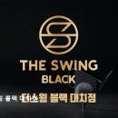쵸이스골프연습장(312) | [서울 골프연습장 추천] 더스윙 블랙 대치점 서울 대치동 골프연습장의 새로운 선택
