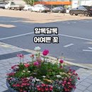 오누이김밥 이미지
