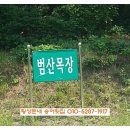 둔내우유 네이버블로그