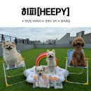 히피(HEEPY) | [수제간식 ] 소중한 우리 댕댕이에게는 '히피(HEEPY) 수제간식'