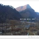 새들민박 이미지