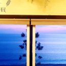 주정차109 이미지