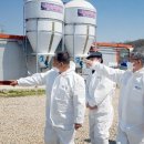 화성양돈 이미지