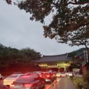 천아트(야간) | 경남 양산 통도사, 2025 국가유산 미디어아트 주차정보