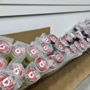 아펙스라인 이미지