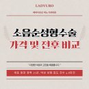 고려금비뇨기과의원 | 소음순성형수술 가격 및 전후 비교 (여성 비뇨기과 레이디유로)