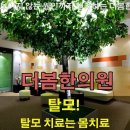 굴사냥조개사냥 이미지