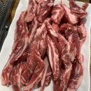 은행나무갈매기 이미지