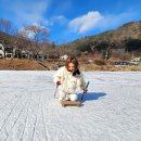 춘천실내낚시터 | 춘천 오월리 빙어낚시 애견동반 얼음썰매 f,오월에카페