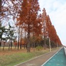 갯골근린공원 이미지