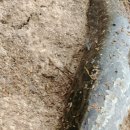 뉴서울세차장 이미지