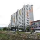 신미주사랑약국 이미지