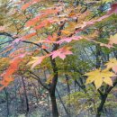 산의실천 이미지