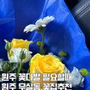 원주꽃집 주주꽃도매에서 노란장미 꽃다발 후기