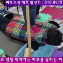 158.피부질환을 약으로 고칠수는 없다 이미지