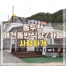 사랑이네식당 | 동두천 애견동반식당 사랑하개 찐 방문후기 👍