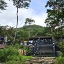 숲750 이미지