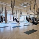 일산플라잉요가 재밌는 휘트니스 엘 플라잉요가 헬스 PT 일산정발산점 방문 후기