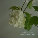 서연플라워 - 시흥시 서해안로 586 | 서연플라워