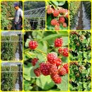 사진만들기 이미지