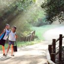 소백산가는길민박 이미지