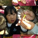 예원숲어린이집 이미지