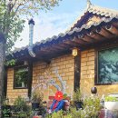 흙과 나무 이미지