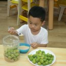 민성푸드 이미지