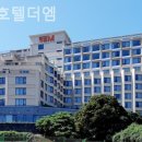 제주호텔더엠 네이버블로그