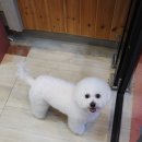 오렌지독하우스 이미지