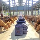 합천축산업협동조합 섬유질사료공장 이미지