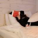 이비아 카카오 검색결과