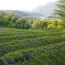 가람농원 이미지