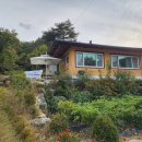 우복동 편백 펜션 이미지