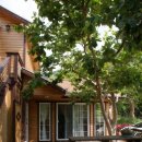 곰골산촌 이미지