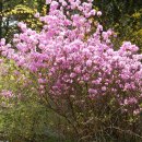 평촌고등학교 이미지