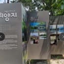 설레임여행사