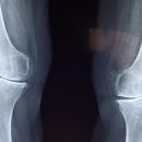 바이오 트렌드 이미지