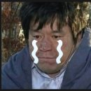 폴레폴레 이미지