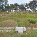 울산의 인텔리들 (10)송석하(카메라 한 손에 들고 전국 방방곡곡 누빈 울산 출신 민속학자) 이미지