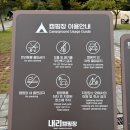 왕할인마트 | 평택 내리 캠핑장 후기 소소한 팁