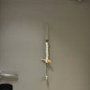 랜선인문학여행 3차 | [인테리어] 대치2단지 소형평수 인테리어 후기 2탄