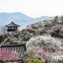 섬진소프트 이미지