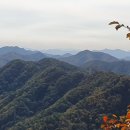 대덕대로-7 이미지