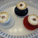 가지와나니 이미지