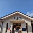 백두대간 체험형 테마파크(숲속동키마을) | 울진 대게 축제 1박 2일 가족여행_팔도관광열차 여행 후기 2탄(먹거리, 체험, 숙소, 솔직 후기)