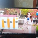 원앙파크장 이미지