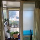 국제백양 이미지