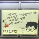 영심이 - 성남시 분당구 성남대로926번길 6 | 영심이